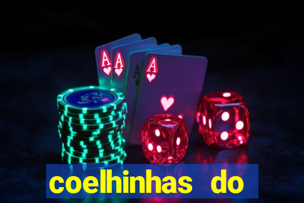 coelhinhas do brasil recife